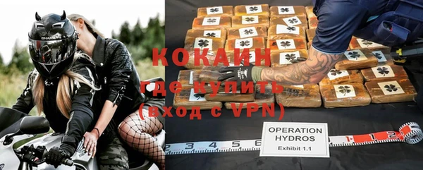 дурь Алексин
