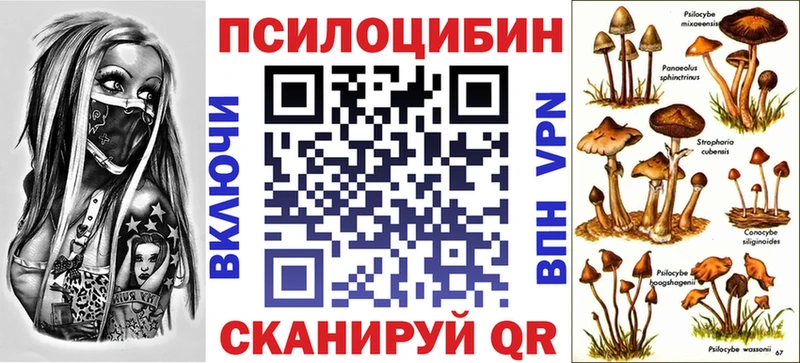 Галлюциногенные грибы Psilocybine cubensis  Мичуринск 